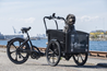 Laatikkopyörä Cargobike DeLight Dog Musta One Size