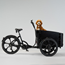 Cargobike DeLight Dog Black