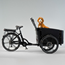 Laatikkopyörä Cargobike Flex Dog Musta One Size