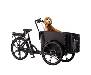 Cargobike Lådcykel EL Flex Dog Black