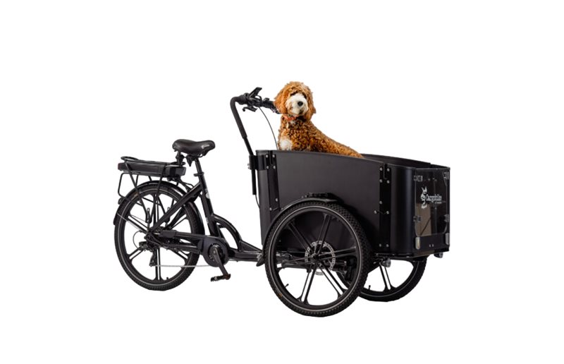 Laatikkopyörä Cargobike Flex Dog Musta One Size