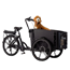 Laatikkopyörä Cargobike Flex Dog Musta One Size