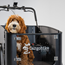 Cargobike Flex Dog Black