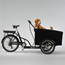 Laatikkopyörä Cargobike Classic Dog Musta One Size