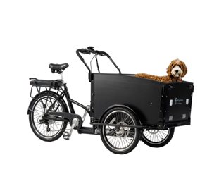 Laatikkopyörä Cargobike Classic Dog Musta