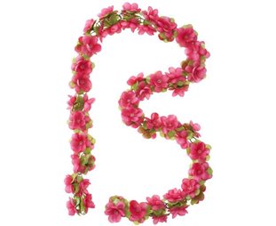 Basil Decoration Flower