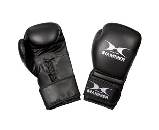 Hammer Boxing Gloves Premium Training