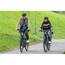 Birk Elcykel E-One LTD Grey