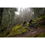 Pivot Heldämpad Mtb Trail 429 Race Xt 2022 Silver