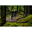 Pivot Heldämpad Mtb Trail 429 Race Xt 2022 Silver