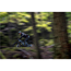 Pivot Heldämpad Mtb Trail 429 Race Xt 2022 Silver