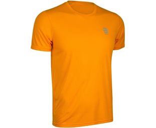 Dæhlie Löpartröja T-Shirt Primary Herr Orange Popsicle