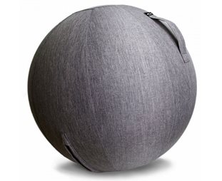 Abilica FitnessBall Cover