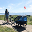 Hamax Cykelvagn Traveller 2 Barn Petrol Blue/Grey