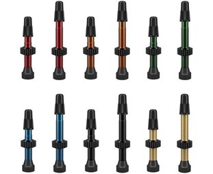 WTB Tubelessventiler Presta TubelessValve Aluminium 46 mm Oransje 2st