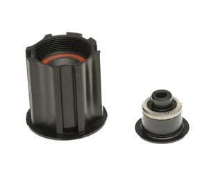 DT Swiss Vapaaratas Freehub Campagnolo (AC) Ratchet