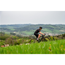 Rock Machine Gravelbike Gravelride Crb 900 Axs Stealth Black