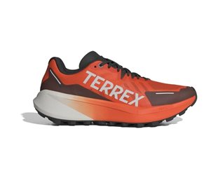 Adidas Juoksukengät Terrex Agravic 3 M