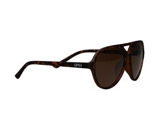 Lipati Aurinkolasit Boston Breeze Sunglasses Brown