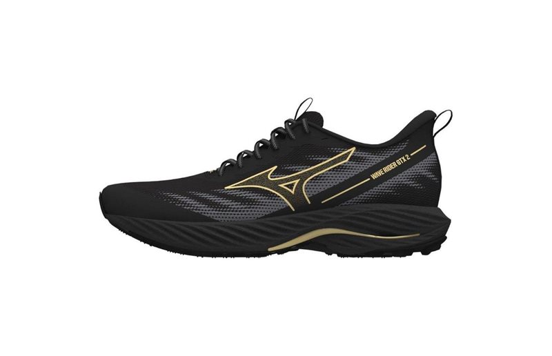 Mizuno Juoksukengät Wave Rider GTX 2 M