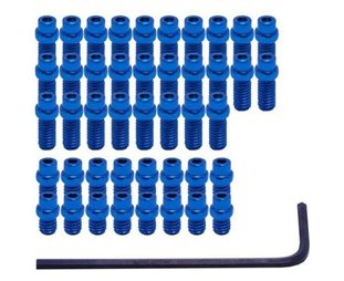 Polkimen nastat DMR FlipPin Kit for Vault