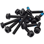 Magura Flatmount Screw Set Rear Wheel