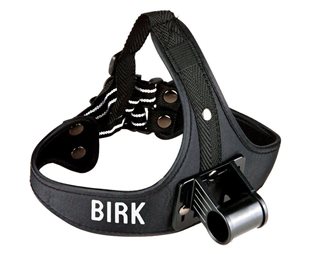 Birk Hodebånd Spot Pro Sort