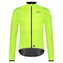 Neon Yellow