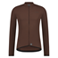 Shimano Pyöräilypaita Apice Thermal L.S. Jersey