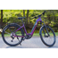 Birk Elsykkel E-Suv Ls Rose Gloss