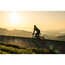 Bmc Roadmachine Amp Three 54cm