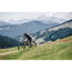Bmc Fulldempet Mtb Fourstroke Four