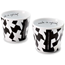 Assos Coffee Set