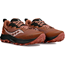 Saucony Trailsko Peregrine 14 GTX Clove/black
