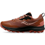Saucony Trailsko Peregrine 14 GTX Clove/black