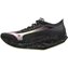 Black/Silver/Pink Tetra
