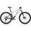 Focus MTB Raven 8.8 Gray