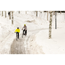 Nastarengas Suomi Tyres Routa W244 E-Bike Heijastava 35-622 (28x1.35")