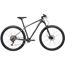 Active Hardtail MTB Fly Carbon 210 29 Grå