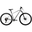 Active Hardtail MTB Fly Carbon 210 29 Silver