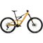 Bumblebee Yellow/Black