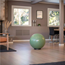 Abilica FitnessBall Jalusta