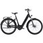 Trek Black Satin