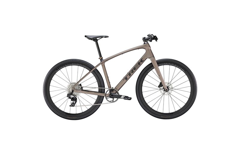 Trek Cityhybrid FX Sport 6 Matte Bronze Age/Deep Smoke