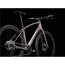 Trek Cityhybrid FX Sport 6 Matte Bronze Age/Deep Smoke