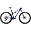 Cobalt Blue/Carbon Raw