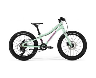 Lasten polkupyörä Merida Matts J.20+ Matt Mint/Purple