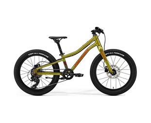 Lasten polkupyörä Merida Matts J.20+ Fall Green/Red