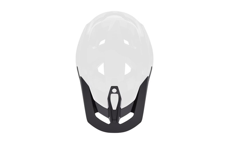 Skärm Fox Speedframe RS Visor Matte Black