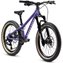 Electric Purple